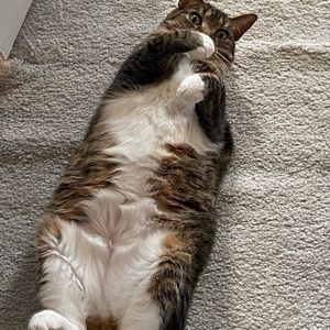 Meet your Posher, Pam